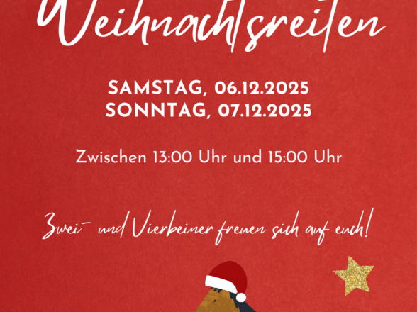 ???? Ponyreiten auf dem Weihnachtsmarkt beim Hammberger Hof