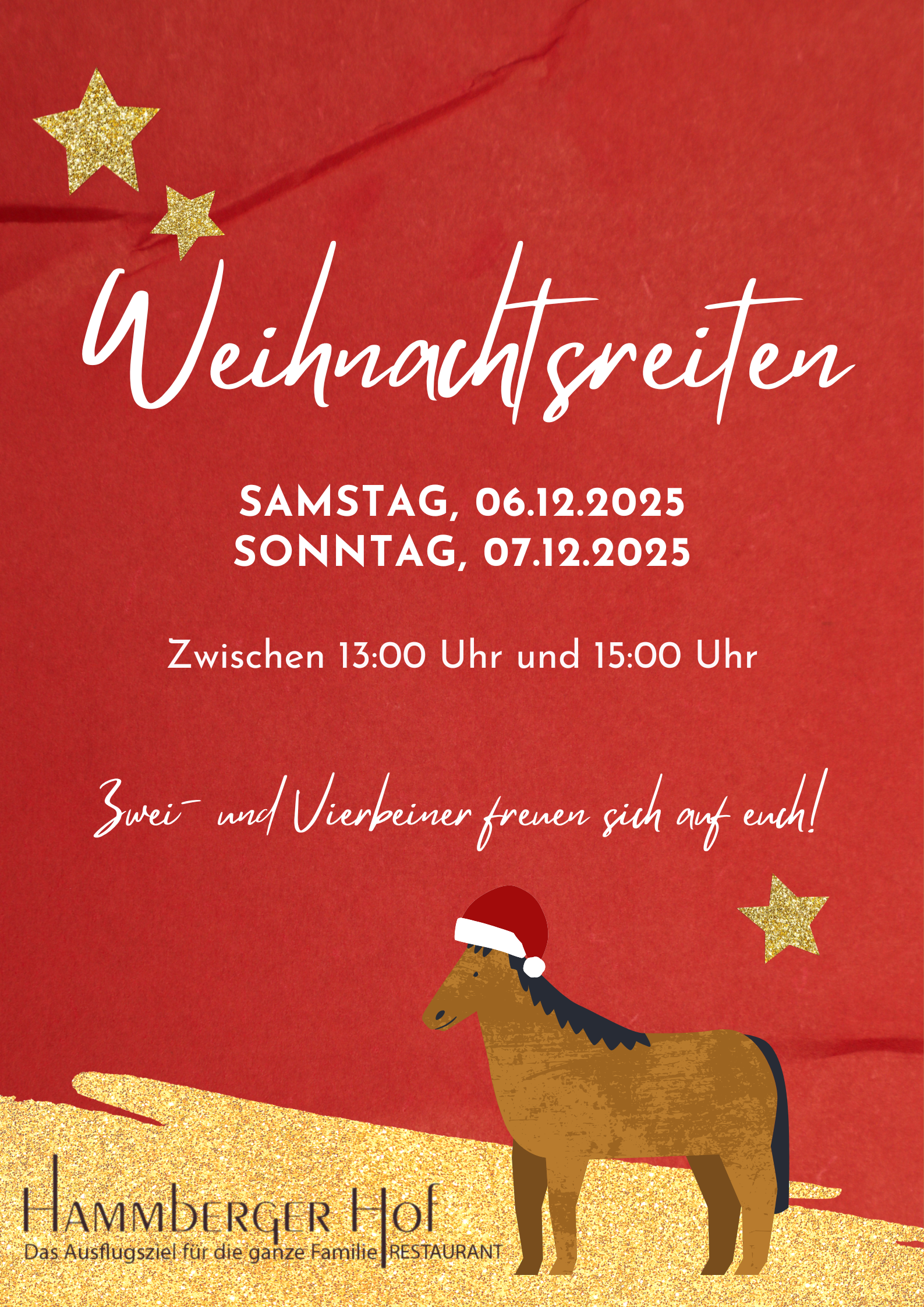 ???? Ponyreiten auf dem Weihnachtsmarkt beim Hammberger Hof